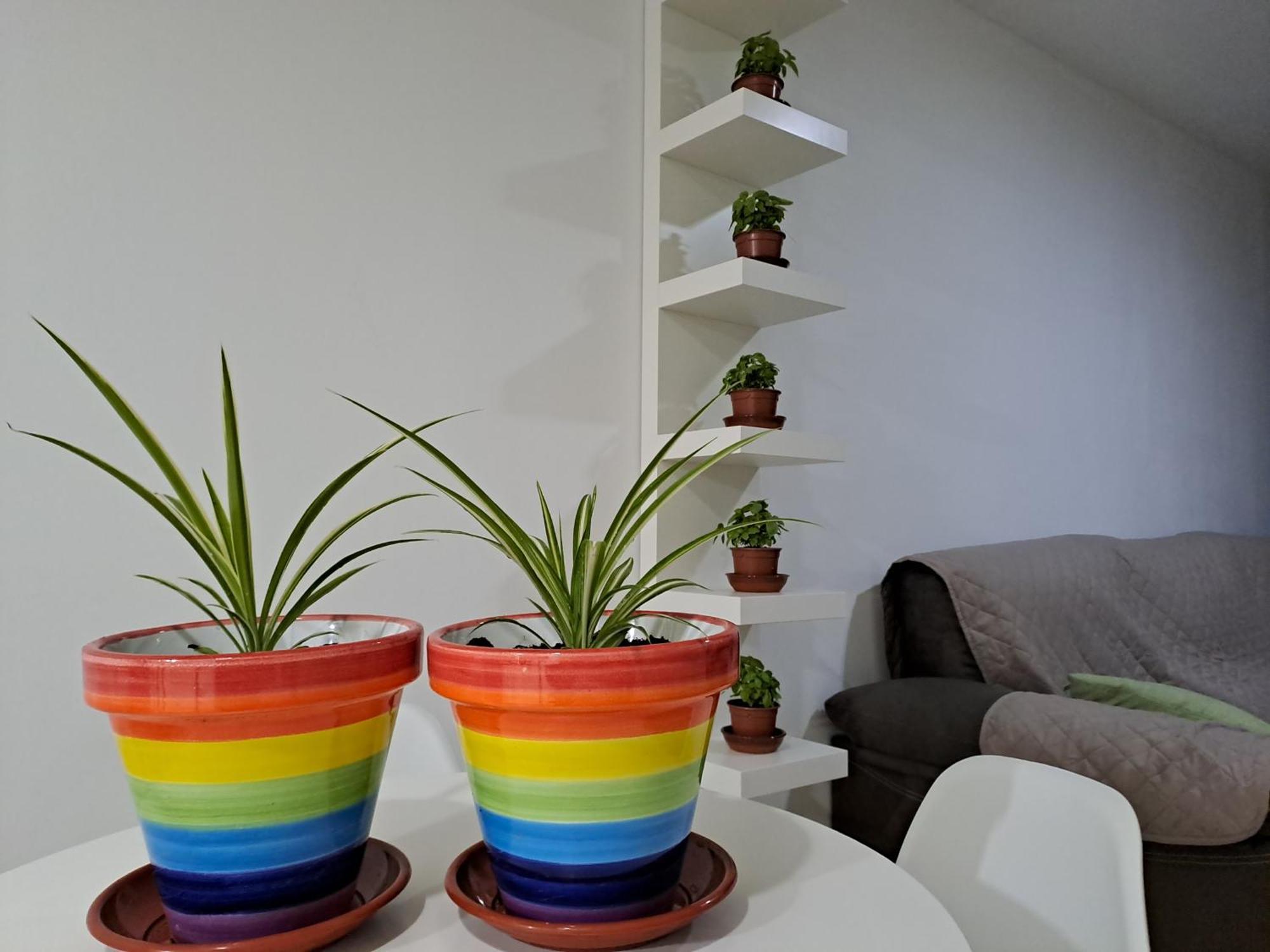 Apartamento Toyo, Parque Natural Cabo De Gata Daire Almería Dış mekan fotoğraf